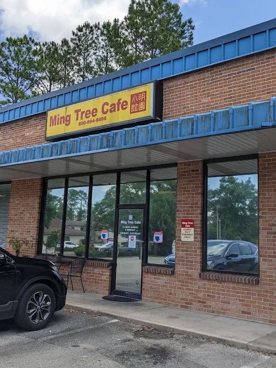 Ming Tree Cafe | TAKE OUT ONLY | Chinese