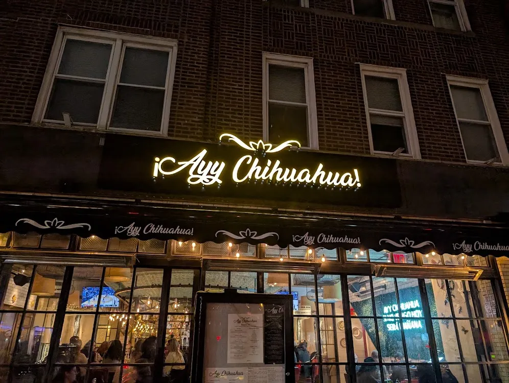 Ayy Chihuahua