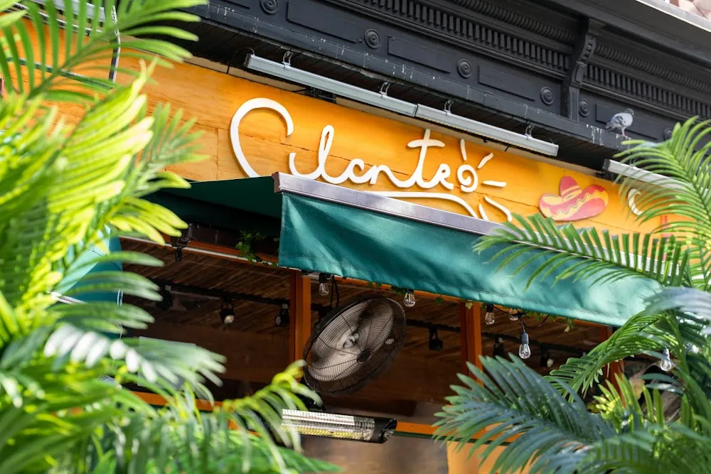 Cilantro NY